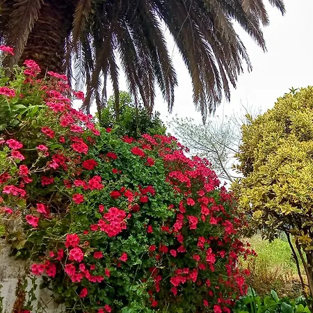 O Lagar דירה סנטה מרתה דה אורטיגיירה